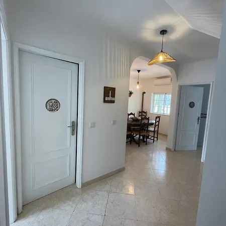 Al Pátio Camaleónico I